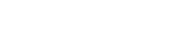 Japanische Akupunktur+ in Zürich
